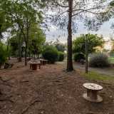 Ospita aiuole, panchine...